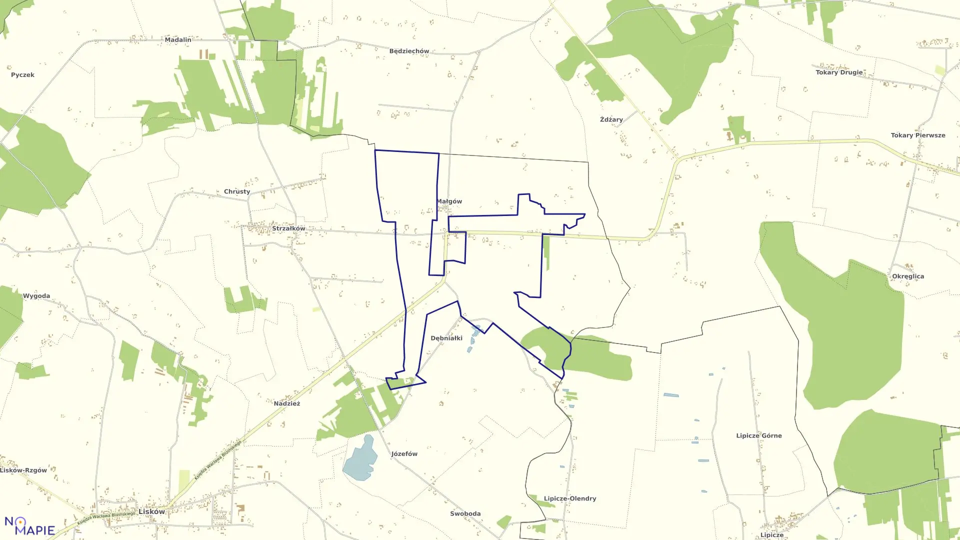 Mapa obrębu MAŁGÓW KOLONIA w gminie Lisków